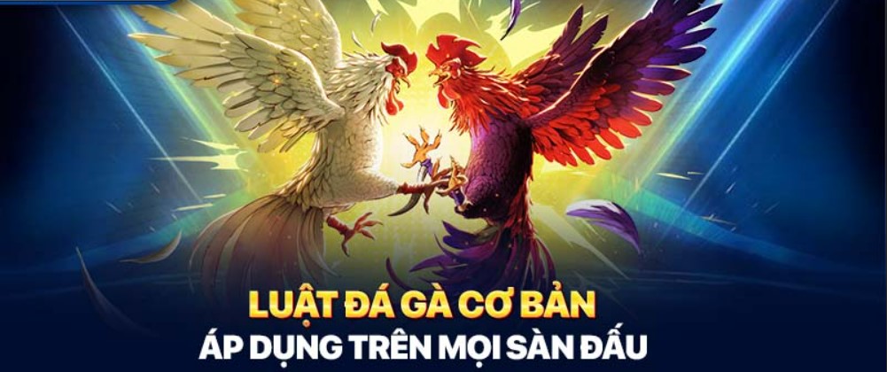 Luật đá gà cơ bản áp dụng trên mọi sàn đấu