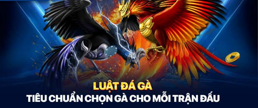 Luật Đá Gà